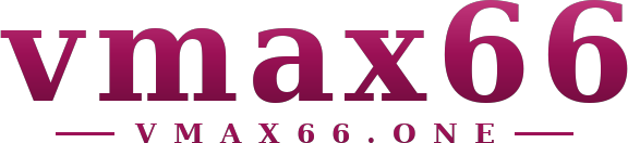 vmax66 logo